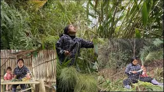 Simple Life: A Day of Picking Chip Plants to Make Brooms for a Mother and Daughter