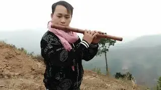suab raj kho siab txog paj tsiab peb caug lawm