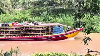 Full Video: Close-up of the Boat Migration of the World&rsquo;s Most Unique and Interesting Duck Species