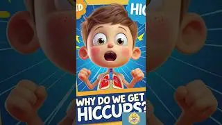 Why Do We Get Hiccups? 🤭 | Funny Science for Kids | Brainy Bees 🐝 @brainybees25