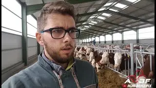 🇫🇷Les premiers pas des vaches dans la nouvelle stabulation🐄🤩