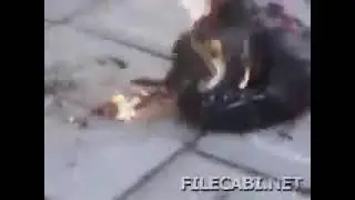 Fast Paced Elmo Immolation Set To Rae By Autechre