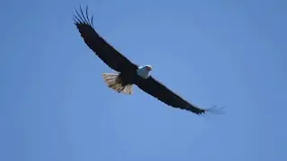Kingdom vision - Retrospect, gratitude, humility