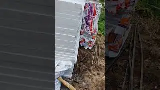 6 августа 2025 г.
