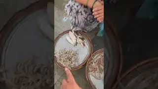 Belapur Fish Market | Fish Market | Navi Mumbai Fish Market