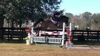 Noteworthy Off Property Schooling December 28 2022