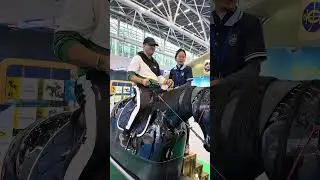 🏇 Тренажер для верховой езды с китайской выставки | Цена, характеристики и информация от производ...