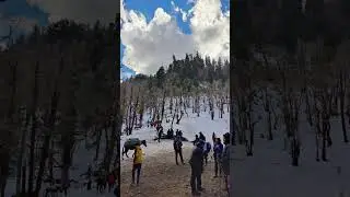you accidentally open my gallery.. #travel #nature #hiking #snow #mountain#manali #trending