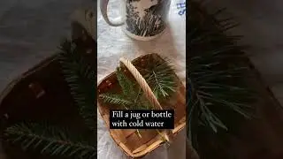 🌲Forest water recipe✨ My family loves foraging and this drink from nature is our cabin must-have!