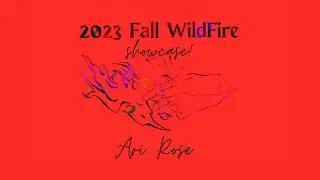 Ari Rose&rsquo;s Aerial Multi-Prop Routine - 2023 Fall WildFire Retreat Showcase