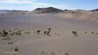 Mongolia  Sud  &  Nord