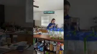 Раньше я ненавидела готовить. Я так выгорела, пока не начала замораживать продукты! #шорты
