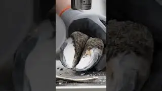 Auto Goat Hoof Press-Cutter &mdash; Rear Hoof One-Click Level  #GoatCare #PrecisionTrim #asmr