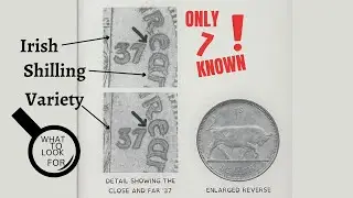 1937 Irish Shilling Coin &ndash; A Must-Know for Irish Coin Collectors!
