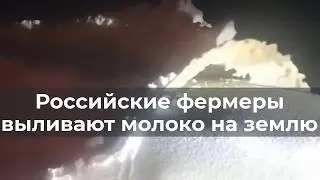 Российские фермеры выливают молоко на землю