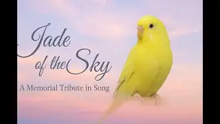 Jade of the Sky &ndash; A Budgie Memorial Tribute in Song | Pet Bird Video by Phoenix Butterfly Media