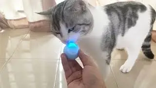 Round Ball Design Pet Toy,Smart Cat Toy Rolling Ball,Rechargeable Electric Interactive Toy