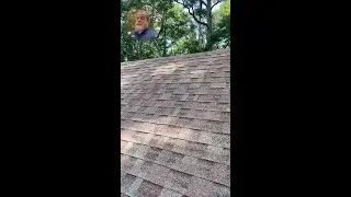 🏠 Safety First: Cougar Paws + Pitch Hopper | Watkins Construction & Roofing