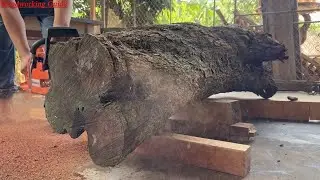 Epic Wood Creations: What Can You Make from a Giant Tree Stump?