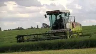 Claas Maxi Swather, Tuesday, 25 August 2009