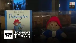 Dallas museum uses Paddington Bear to teach kids about Kindertransport during Holocaust