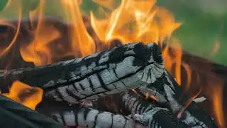 Приготовление шашлыка | Cooking the barbecue | Timelapse 4K UHD