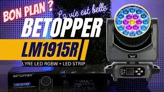 La Lyre Parfaite à Petit Prix ?! 😳 Test de la BETOPPER LM1915R💡