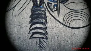 Maya sculpting2