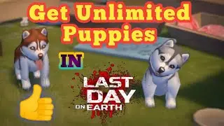 How to get Puppies in Last Day On Earth ? Locations to get puppies