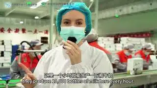 “乳”此美好，俄罗斯青年走进新疆畜牧业#WhatsXinjiangLike