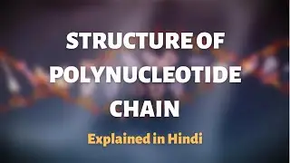 STRUCTURE OF POLYNUCLEOTIDE CHAIN | class 12 polynucleotide chain