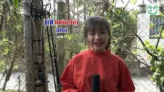 Máy leo dừa - hái dừa, trèo cột điện giờ không còn khó