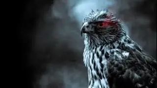 Mastering Falconry: Top Falcon Attack Tricks