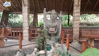 Penginapan teristimewa di Ketambe ( the most beautiful guest house in ketambe