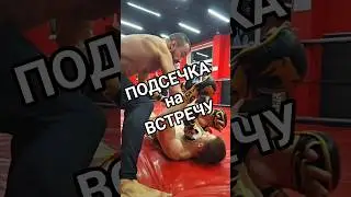 Прием от MMA KNIGHT #mma #бокс #мма #ufc #sports #бой #champion #спорт