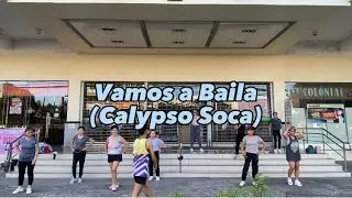 Vamos A Baila (Calypso Soca) | ZUMBA| ZIN KIM
