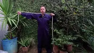 Balso pelo seio