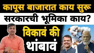 कापूस बाजारात काय सुरू | कापूस विक्रीचा काय निर्णय घ्यावा | Dnyaneshwar Kharat Patil