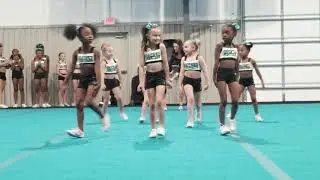 Blakeley helton- tiny turtles at Grand opening 3/23/19/0