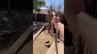 I tried to knock this pot off the fence but I mist.