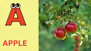 ABC Phonics Song | Alphabet letter sounds | ABC learning for toddlers | Education ABC Nursery Rhymes