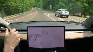 Tesla Insurance: What A Hard Braking Incident Looks Like