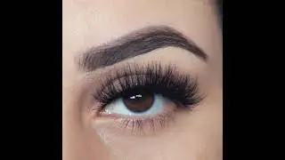 Dani B Beauty &ldquo;Glam&rdquo; lash