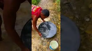 Gold panning #gold #goldenretreivers #puregold #goldcollector #fypシ゚viral #fyp #viral