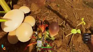 Raw Weevil Meat - Grounded 2 ( Natural Resources )