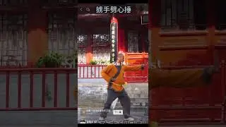 Shaolin Sun Fist