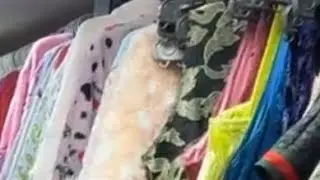 خصم حقيقي ٢٥ ٪ بضاعه سوبر كريمه نخب اول معصوم للتصفيه الاوروبيه 