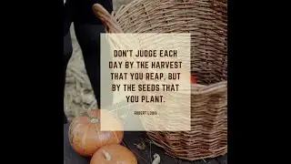 It all starts with a seed
