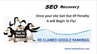 SEO Recovery | Google Penalty Removal | SEO Recovery For Dummy