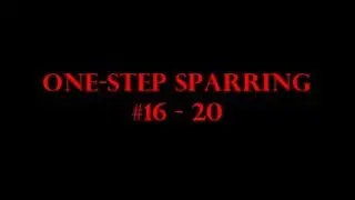 One-Steps 16-20